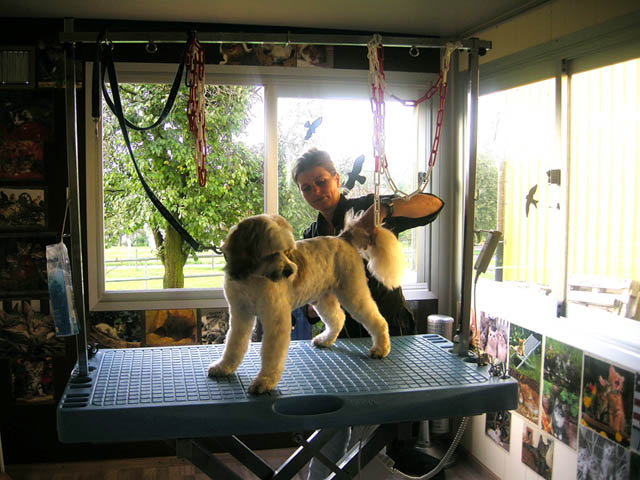 sonja.jpg