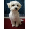 Lilly0001 3
