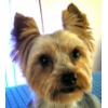 Benji3