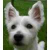 Julie0014