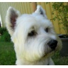 Finley0001 5